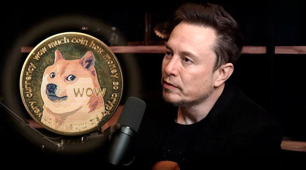 9 ارز دیجیتال مورد علاقه ایلان ماسک/ با این سرمایهگذاری پولدار شوید!