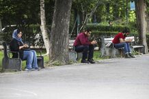 کدام استان‌ها بیشترین نرخ بیکاری را دارند؟