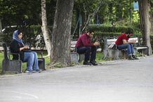 شاغلان غیررسمی بیمه می‌شوند
