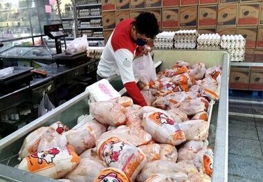 قیمت گوشت مرغ، امروز ۱۹ فروردین ۱۴۰۳