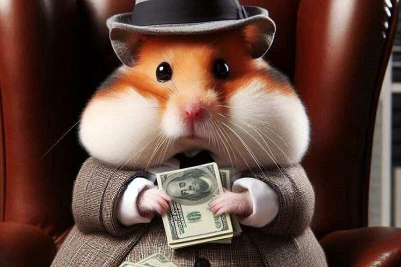 کد مورس همستر 2 تیر چیست؟ + عکس