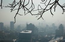 ورود طلایی‌ها به بازار مسکن