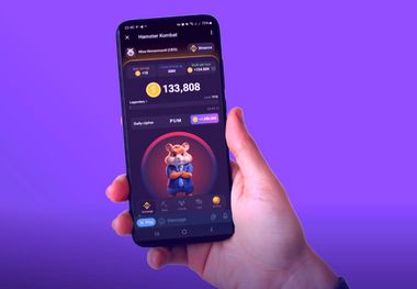 کارت های امروز همستر ۱۳ تیر + آموزش وارد کردن