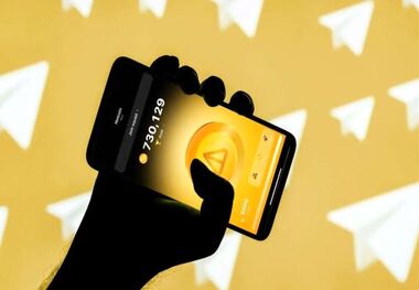 قیمت نات کوین تا امروز چقدر پیش‌رفته است؟