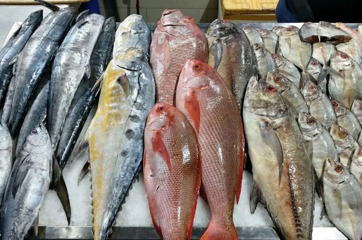 گرانترین ماهی دریای خزر شکار شد/ ناقابل 41 میلیون! (ویدئو)