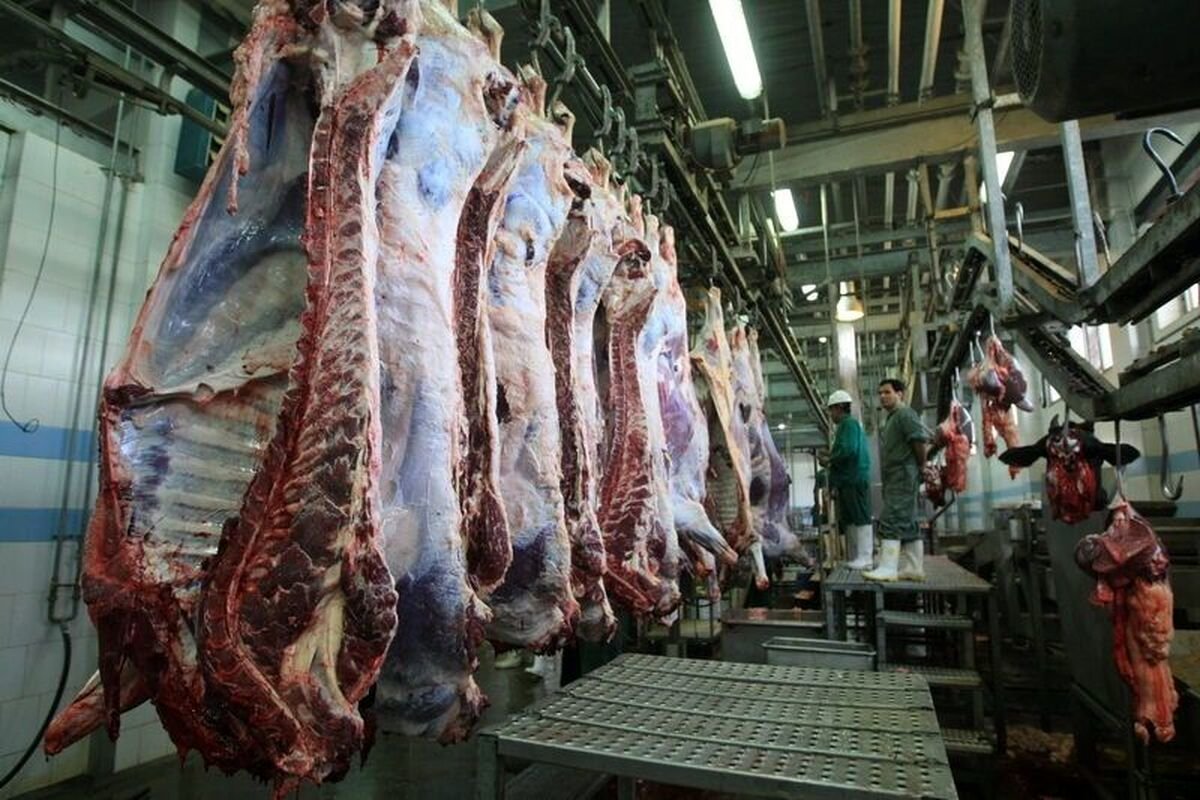 قیمت گوشت قرمز امروز سهشنبه 28 اسفند/ خورشتی گوسفندی چند؟