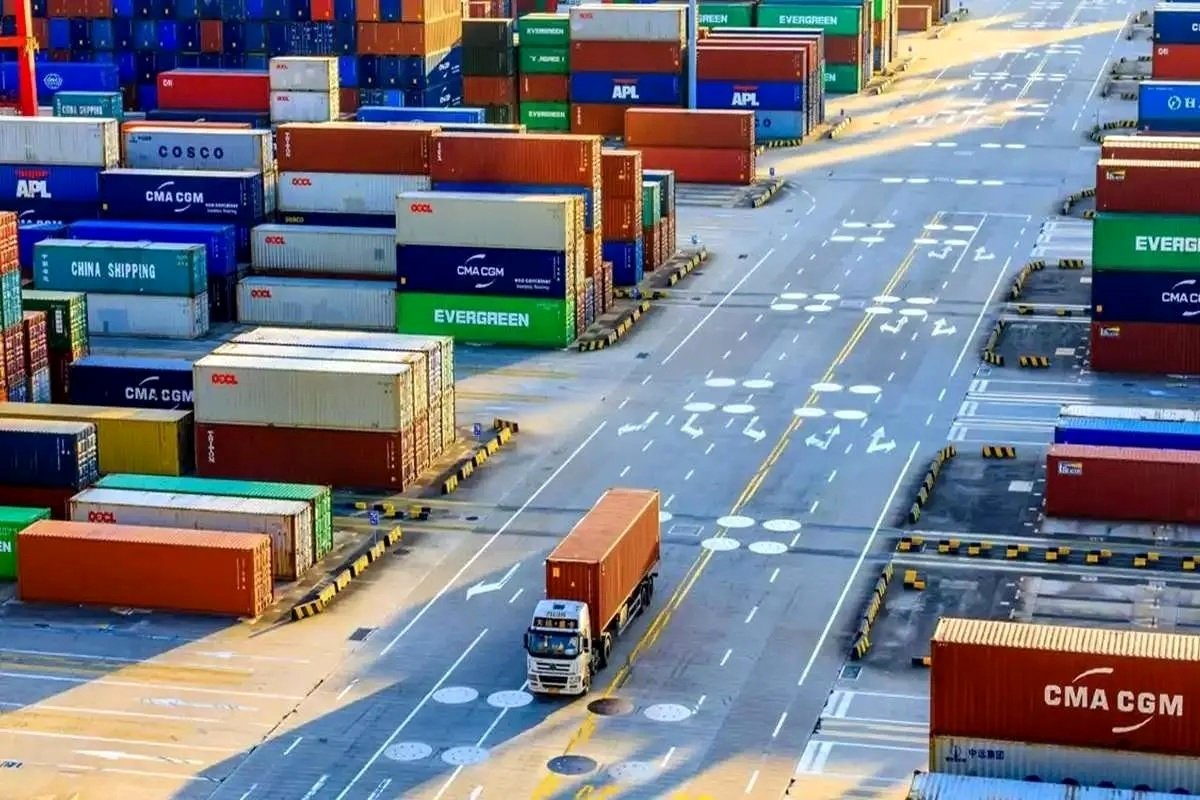 واردات گاو آمریکایی با دلار فرزین