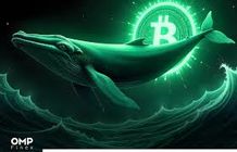 سیگنال نهنگ‌ها به بازار ارز دیجیتال/ جهش قیمت بیت‌کوین در راه است؟