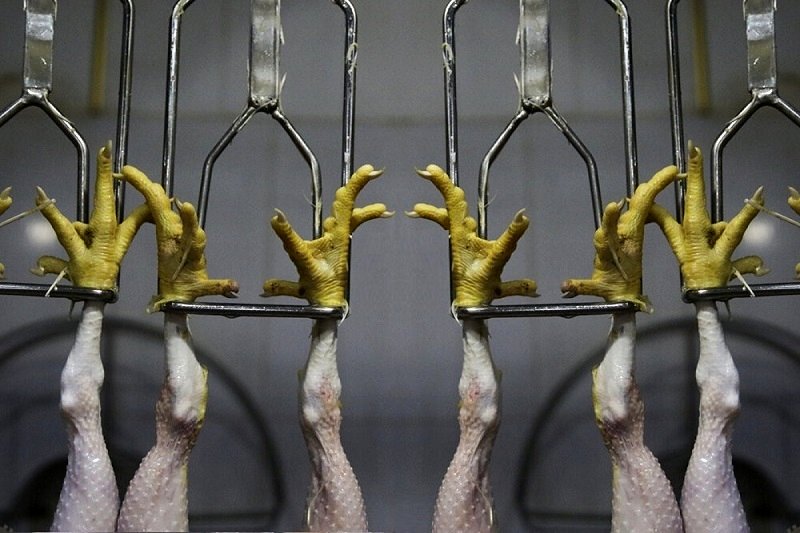 قیمت 1 کیلو مرغ در بازار واقعا چقدر است؟