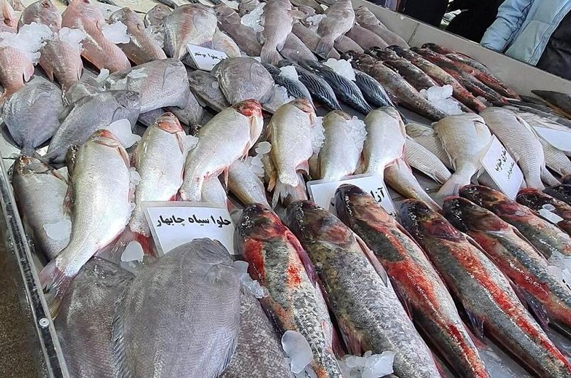 قیمت ماهی امروز 16 تیر/ سالمون در بازار چند؟