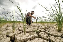 کشاورزی چطور ایران را تشنه‌ کرد؟