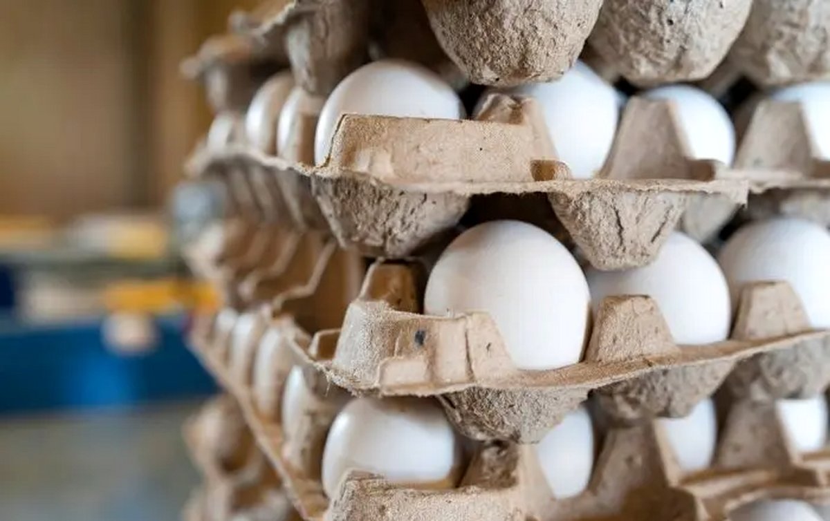 قیمت تخم مرغ امروز 26 خرداد؛ بسته‌بندی 30 عددی چند؟