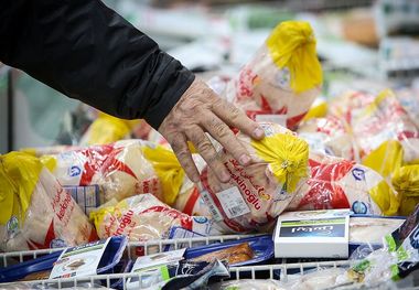 مرغ 170 هزار تومانی صدای قالیباف را درآورد