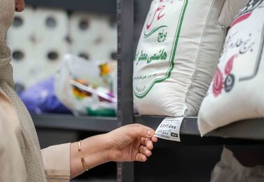  برنج ایرانی روی دست کشاورزان ماند