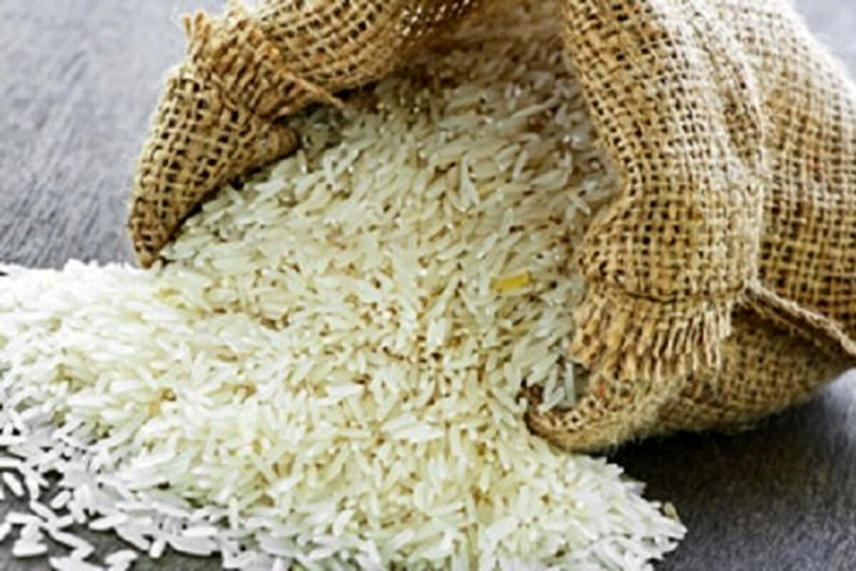 برنج هندی ارزان شد