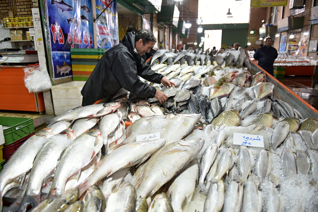  قیمت ‌انواع ماهی ‌امروز ‌چهارشنبه ۲۹ فروردین ۱۴۰۳ 